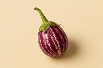 Striped baby eggplant from Maharashtra