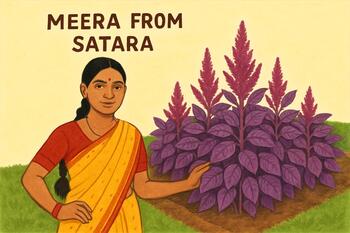 Meera from Satara standing by amaranth beds